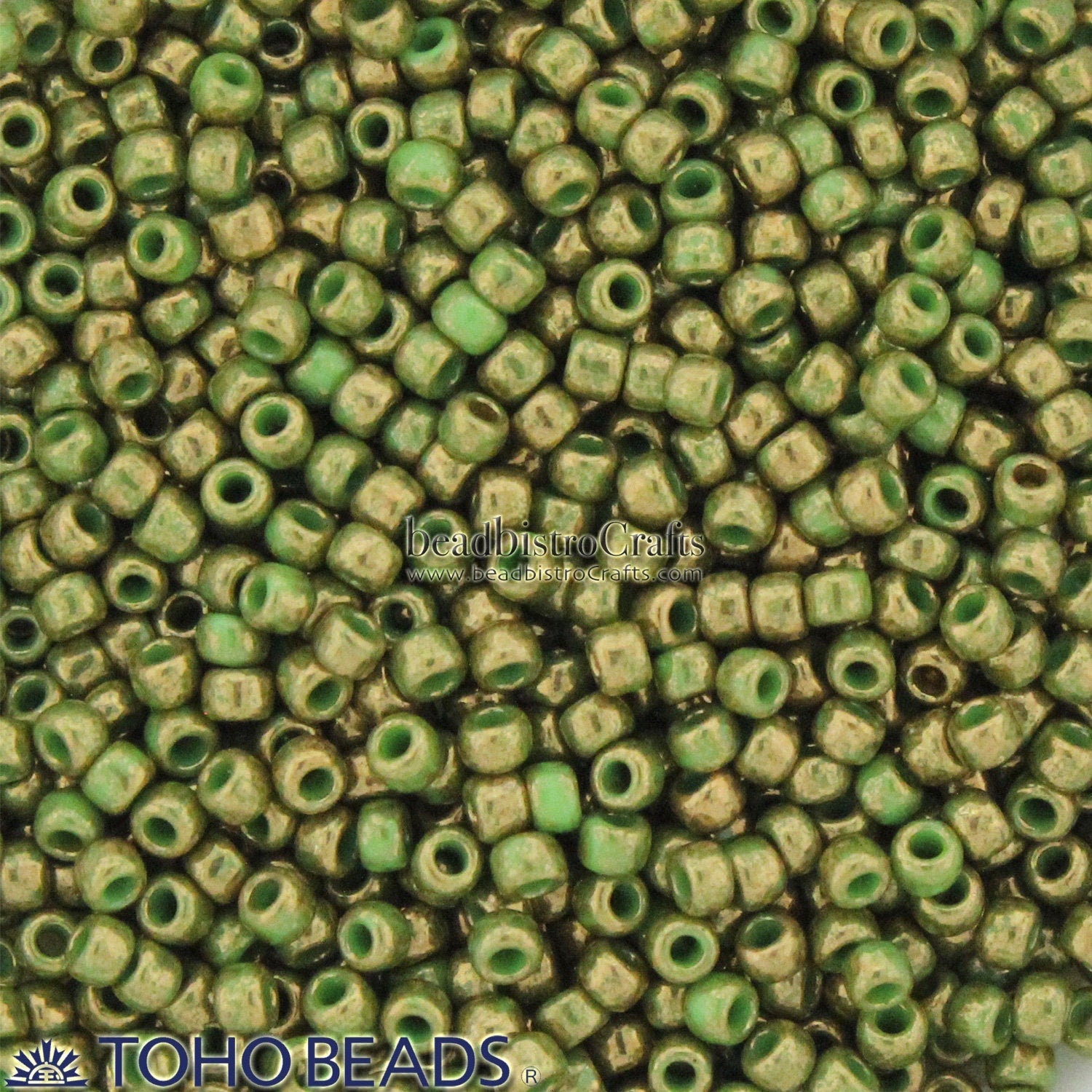 10g TOHO 11/0 ROUND Seed beads - GILDED Marble * Opaque Green - size 11 seed beads - 1702