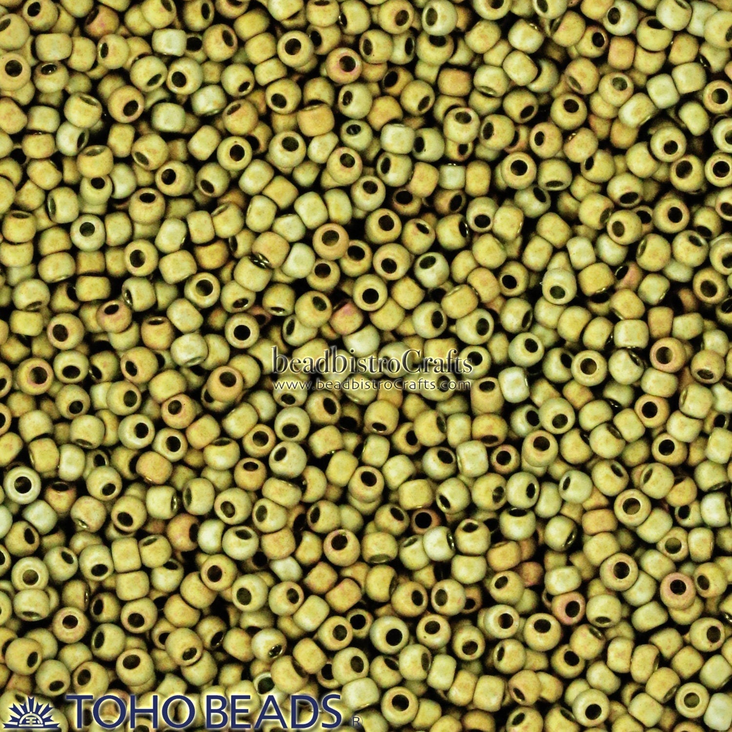 10g TOHO 11/0 Round Seed beads - Metallic * FROST CARNIVAL - size 11 seed beads # 513F