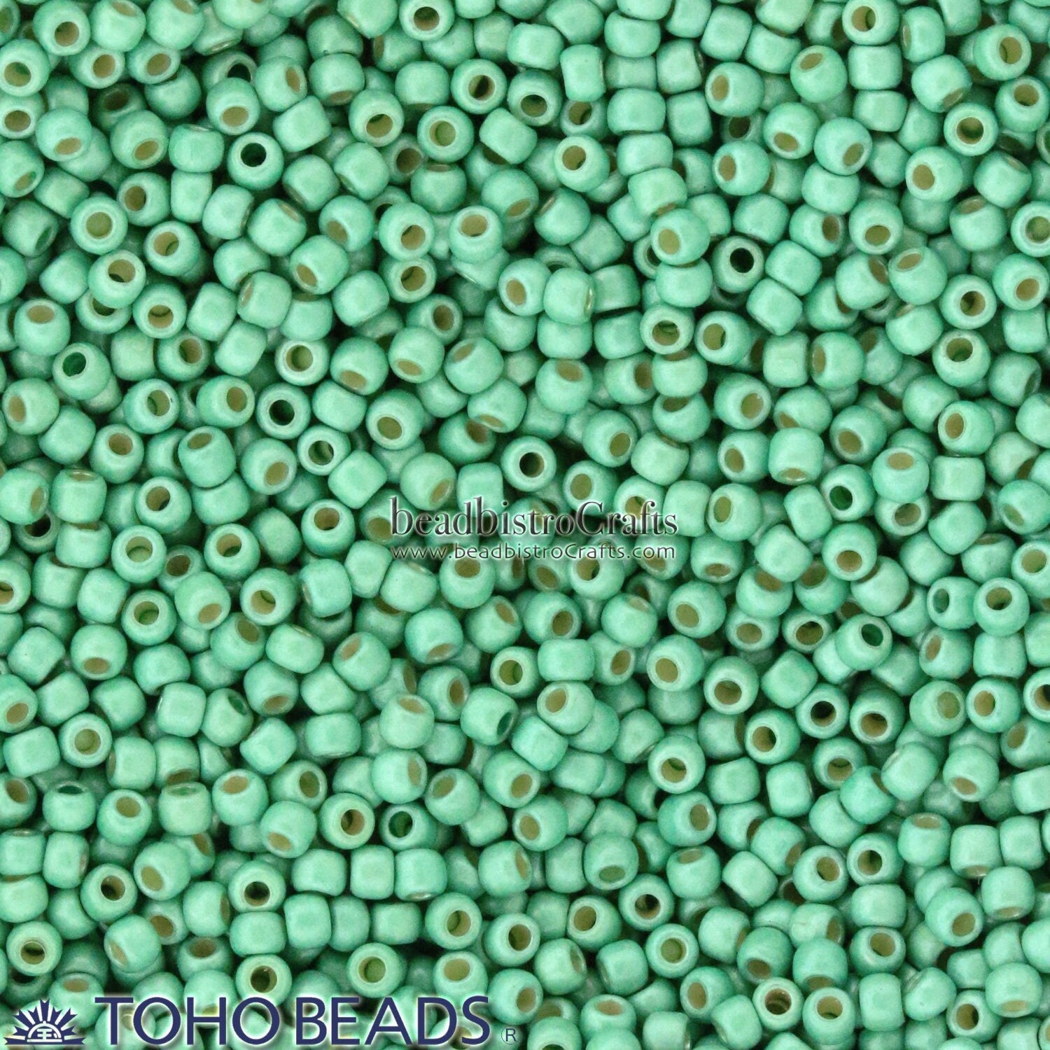 10g TOHO 11/0 ROUND Seed beads - PermaFinish * FROSTED Galvanized Mint Green - size 11 seed beads # PF507F